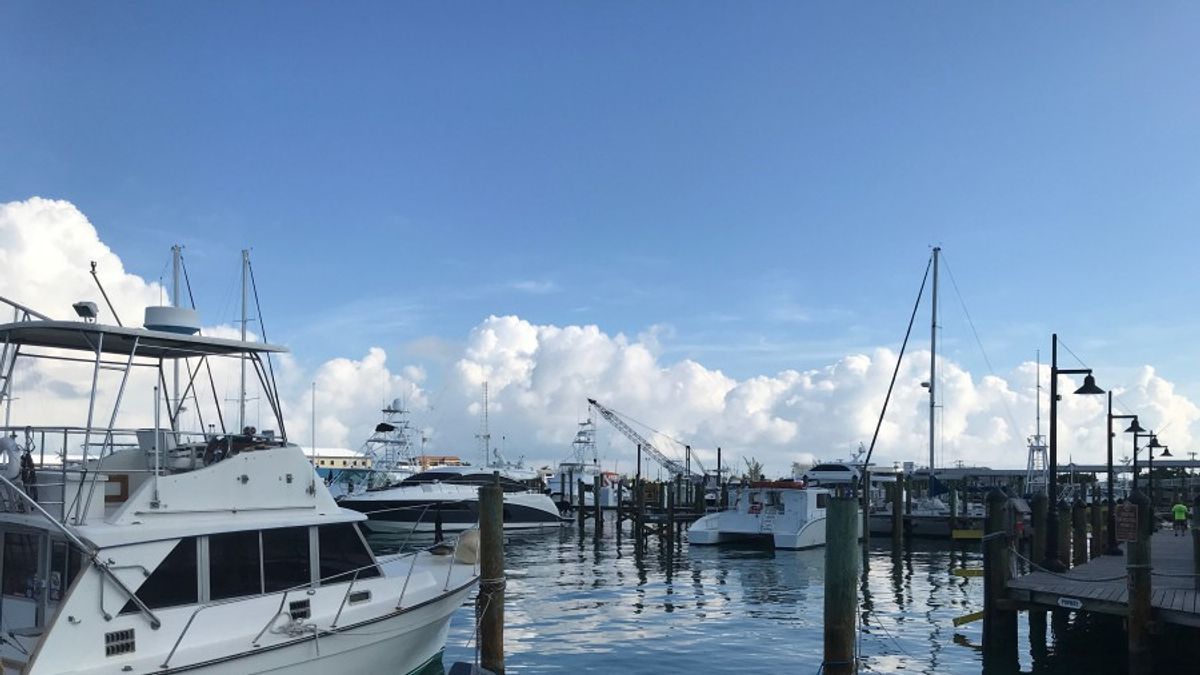 既是犯罪之城,又是養老聖地,邁阿密衝突、古怪、熱情、創新的氛圍,等你來感受!(圖/kkday) 既是犯罪之城,又是養老聖地,邁阿密衝突、古怪、熱情、創新的氛圍,等你來感受!(圖/kkday)