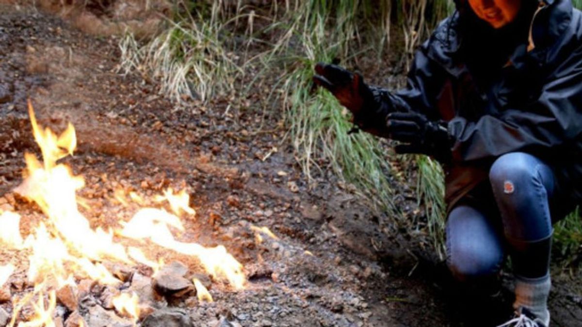 暖手,紐西蘭,黑水河,默奇森,自然之火體驗(圖片來源:Naomi Arnold) 暖手,紐西蘭,黑水河,默奇森,自然之火體驗(圖片來源:Naomi Arnold)