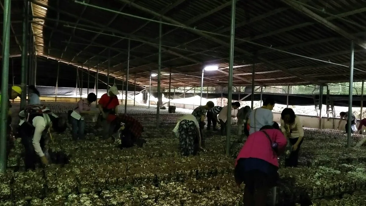 糖尿病友結伴踏青 採菇旅遊趣味多