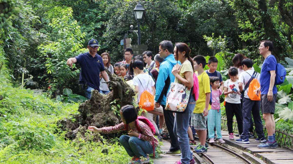 「植物打鐵王」活動,將由在地植物達人導遊,採集作品。(新北市府提供)