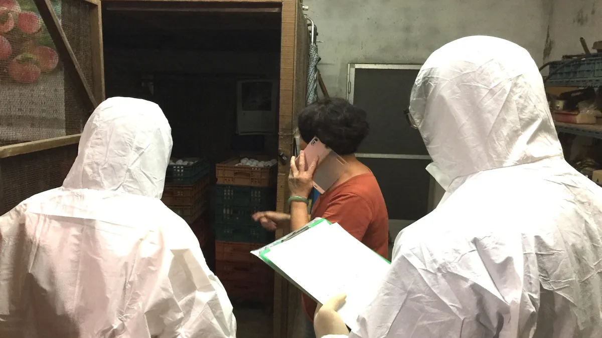 台南7場未檢出芬普尼雞蛋 解除移動管制