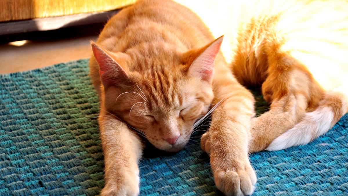 改變人生,從建立好習慣開始!(圖/JessicaFiessHill@flickr) 改變人生,從建立好習慣開始!(圖/JessicaFiessHill@flickr)