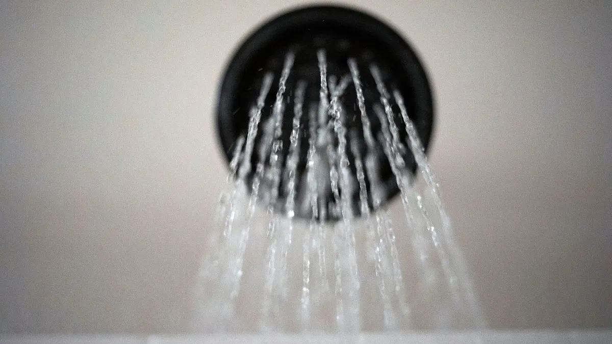 浴室內的蓮蓬頭。(美聯社) 浴室內的蓮蓬頭。(美聯社)