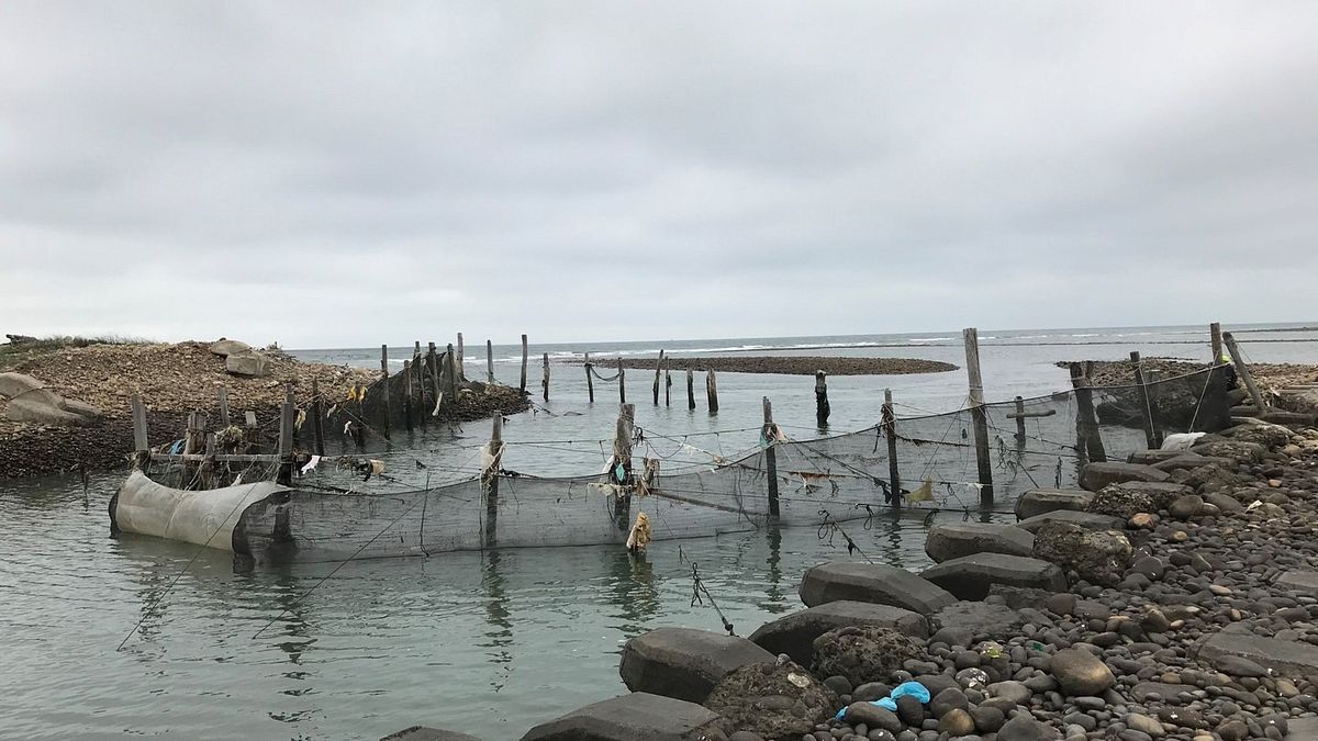 台中市海線地區如大安及大甲等河海交匯地海域,為漁民捕撈鰻苗場籲,市府水利局籲漁民提出合法申請。(圖/台中市政府) 台中市海線地區如大安及大甲等河海交匯地海域,為漁民捕撈鰻苗場籲,市府水利局籲漁民提出合法申請。(圖/台中市政府)