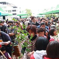 森情物語、美綠大地 大家來植樹綠化環境 森情物語、美綠大地 大家來植樹綠化環境