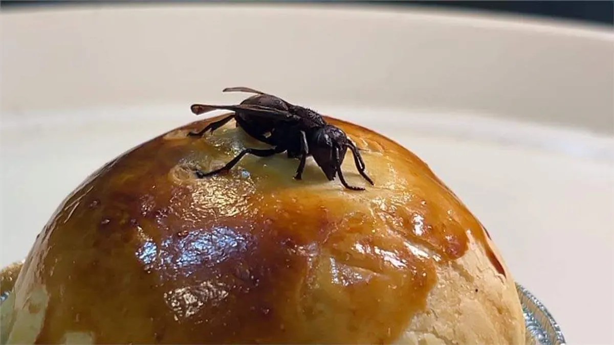 スズメバチ入り月餅が話題に:台湾の珍味に挑戦する勇気はある?(画像:爆廢公社より) スズメバチ入り月餅が話題に:台湾の珍味に挑戦する勇気はある?(画像:爆廢公社より)
