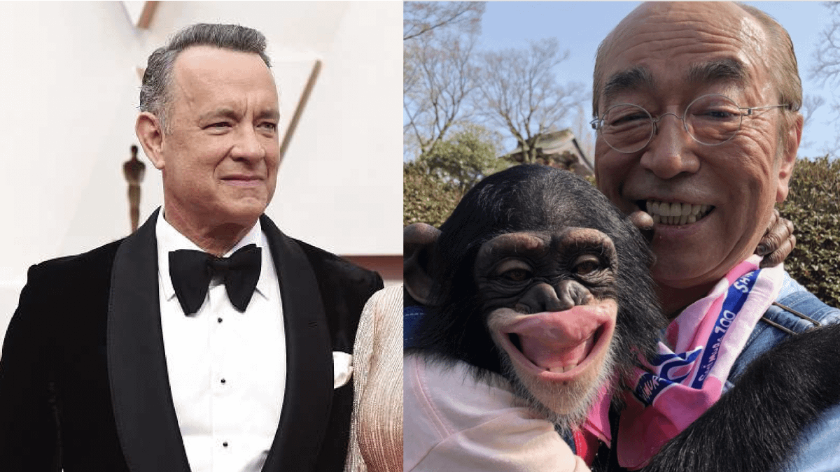 這些藝人都中標了!(圖/取自網路) 這些藝人都中標了!(圖/取自網路)