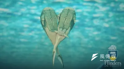 古生物學家發現最早透過性交生育的原始魚,生活於3.8億年前(Flinders University)