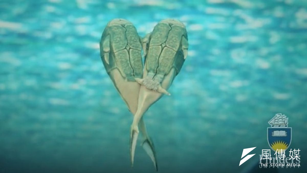 古生物學家發現最早透過性交生育的原始魚,生活於3.8億年前(Flinders University) 古生物學家發現最早透過性交生育的原始魚,生活於3.8億年前(Flinders University)