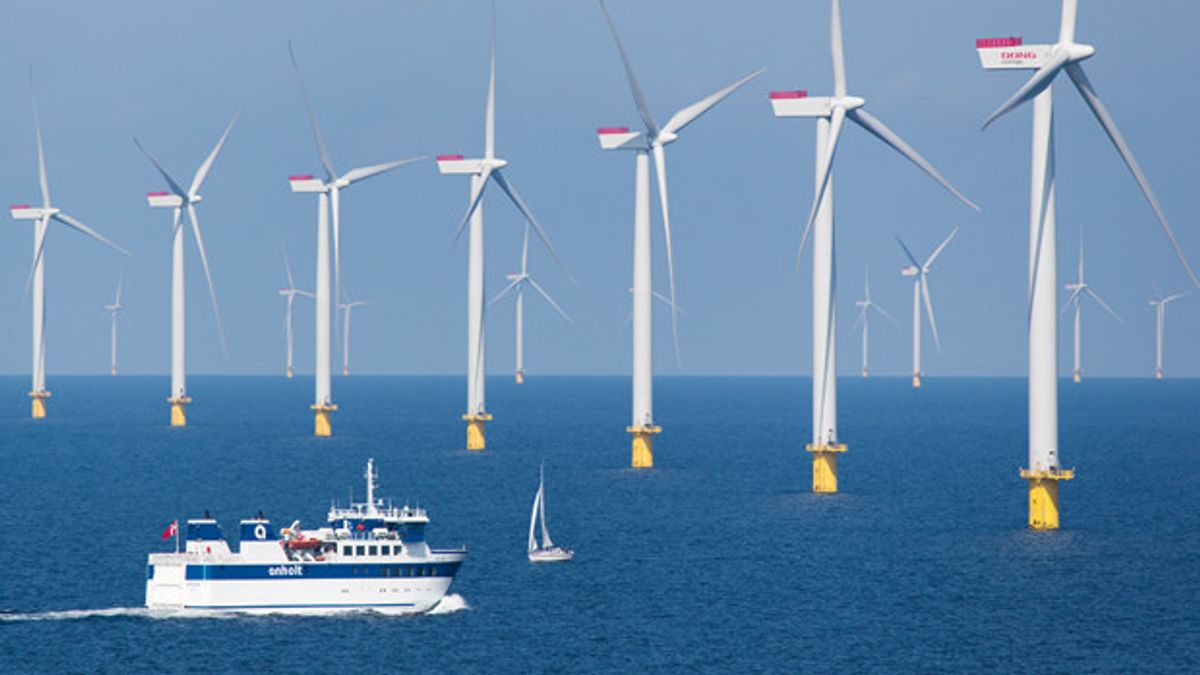 觀點投書:生態棲地喪失與開發壓力:在人口減少的臺灣,為何還在破壞稀有生物棲地?