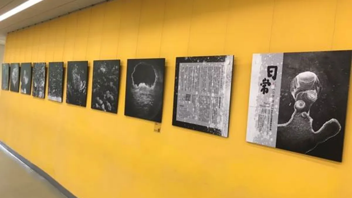 國資圖 2F展出侯純純老師的作品《日常.須臾》。(圖/國立資訊圖書館)