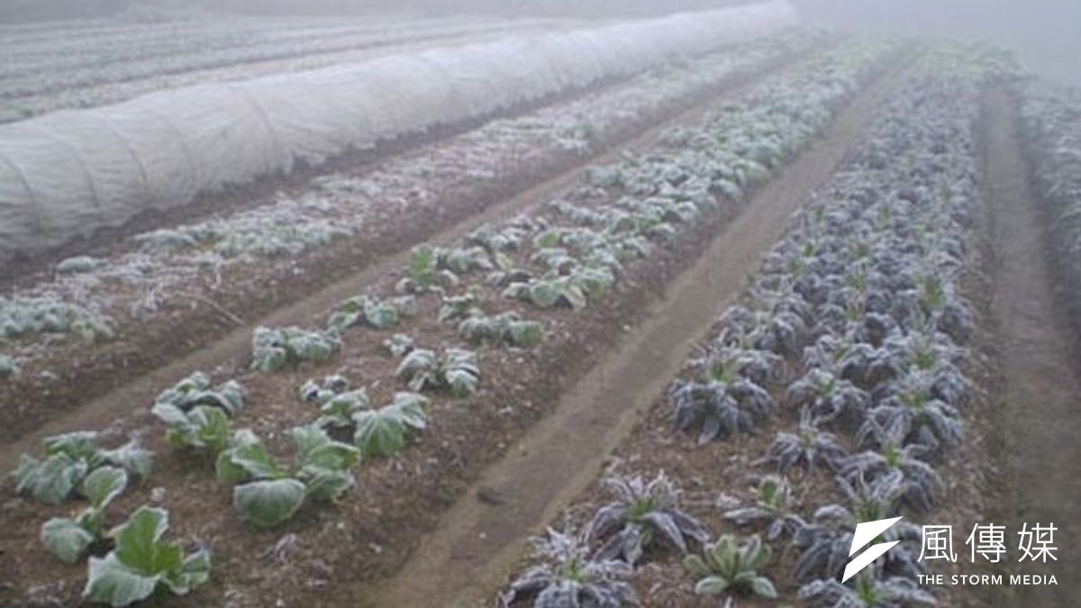 霧霾衝擊中國農業,宛如「核冬」降臨。(取自網路) 霧霾衝擊中國農業,宛如「核冬」降臨。(取自網路)