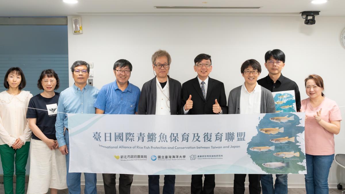 臺日專家跨海合作守護新北珍稀魚種 噶瑪蘭青鱂復育行動全面啟動