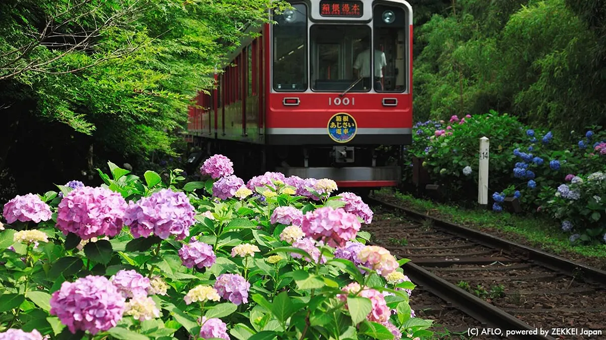 今日的箱根已是日本知名的避暑休閒勝地,但在明治維新廢除參勤交代與宿役人制度以前,曾是江戶時代的交通要衝地點。(資料照,風傳媒)