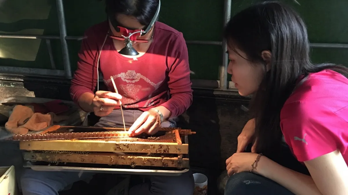 一圓女農夢 廣告策劃者學習養蜂技術