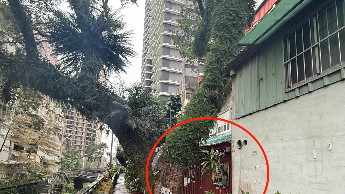 新店瑠公圳旁土地合法出售後,部分既存建物產生後續爭議(圖中紅圈鐵皮違建處)。(圖/地主提供) 新店瑠公圳旁土地合法出售後,部分既存建物產生後續爭議(圖中紅圈鐵皮違建處)。(圖/地主提供)