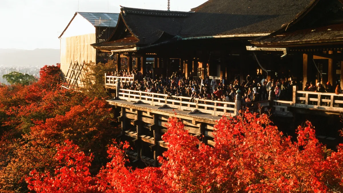 京都的私藏賞楓景點一次公開,這個秋天,就讓浪漫楓葉陪你度過!(圖/Sai Mr.@Flickr)