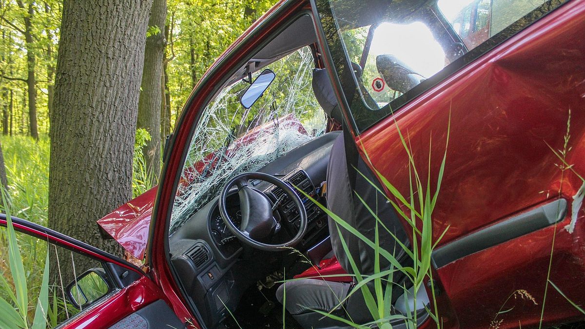 (示意圖/pixabay) (示意圖/pixabay)