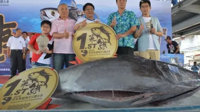 屏東「第一鮪」拍賣價出爐 總價158萬元榮登歷年次高