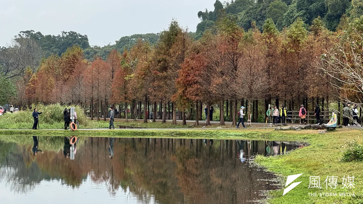 月眉人工濕地生態公園。(圖/桃園市政府觀旅局提供)