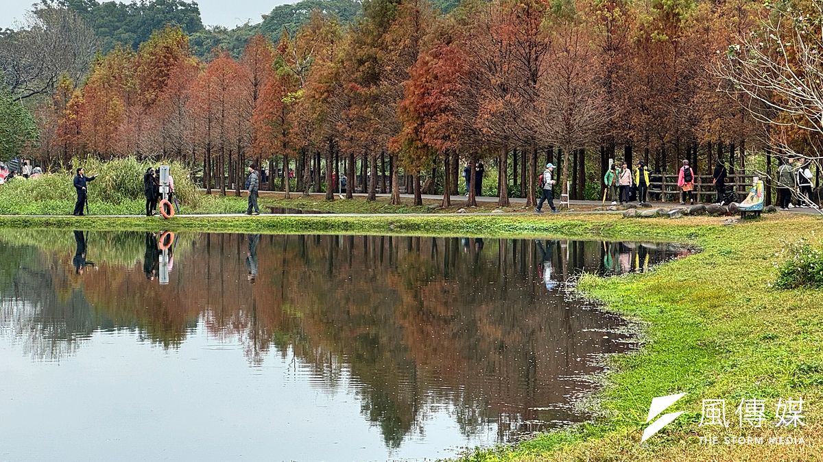 月眉人工濕地生態公園。(圖/桃園市政府觀旅局提供) 月眉人工濕地生態公園。(圖/桃園市政府觀旅局提供)