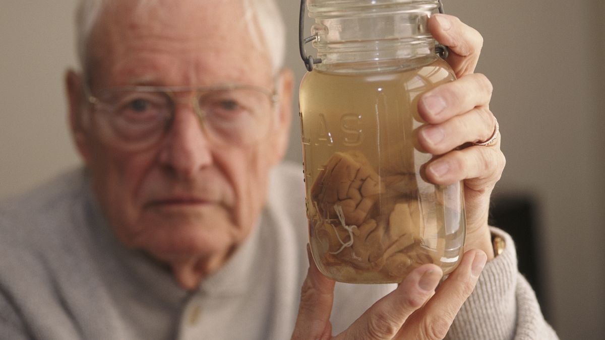 為了看看天才的大腦有何不同,愛因斯坦死後,大腦被人先斬後奏割下,而後切成240片分送各地研究…(圖/言人文化提供) 為了看看天才的大腦有何不同,愛因斯坦死後,大腦被人先斬後奏割下,而後切成240片分送各地研究…(圖/言人文化提供)