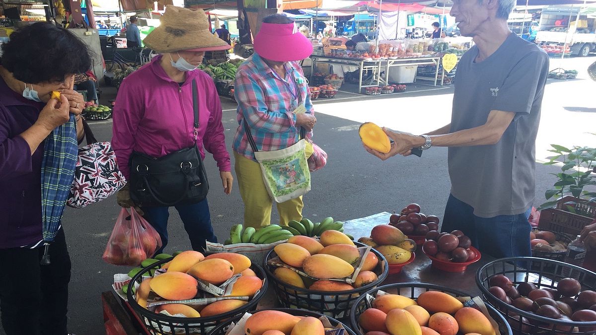 試吃再買 芒果農:「果」真好賣 試吃再買 芒果農:「果」真好賣
