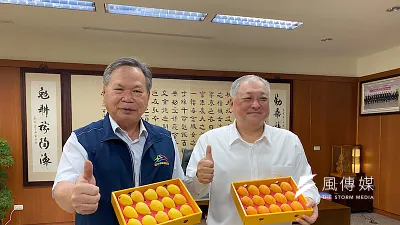 太平農會總幹事余文欽及市府農業局長蔡精強展示新品種枇杷「玉出露」及「金璽」。(圖/記者王秀禾攝)