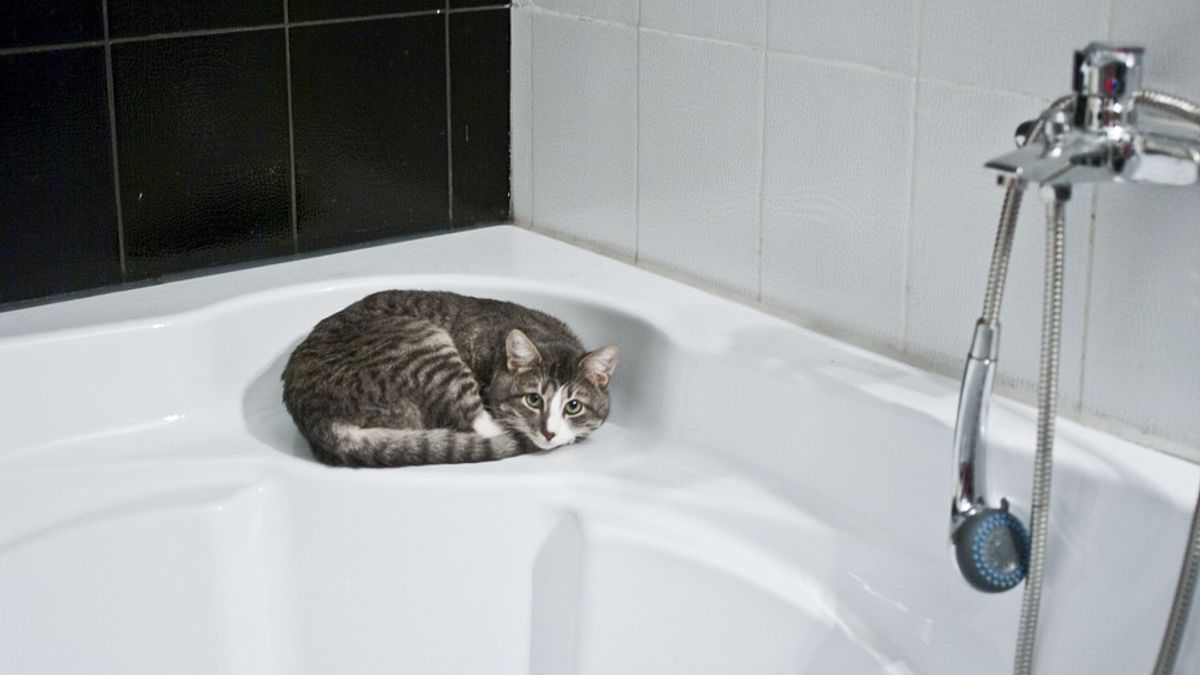 人體從屬於宇宙,因此遵循宇宙的陰陽規律而行方是生存命法則,而陰陽自是依時間而運行。(示意圖/ anlyu0 @pixabay) 人體從屬於宇宙,因此遵循宇宙的陰陽規律而行方是生存命法則,而陰陽自是依時間而運行。(示意圖/ anlyu0 @pixabay)