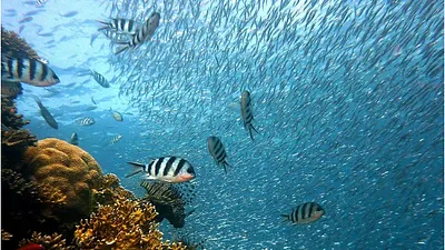 海洋。(作者提供,取自Pixabay)