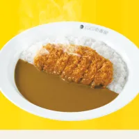 日本知名連鎖餐飲「CoCo 壹番屋」的豬排咖哩飯。(翻攝自官網) 日本知名連鎖餐飲「CoCo 壹番屋」的豬排咖哩飯。(翻攝自官網)