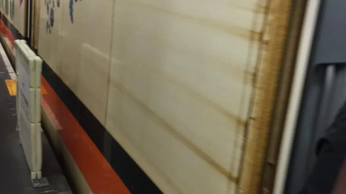 管碧玲臉書po文,表示高鐵是國家的門面,坐令它髒得離譜,再怎麼說,都不應該!(取自管碧玲臉書)