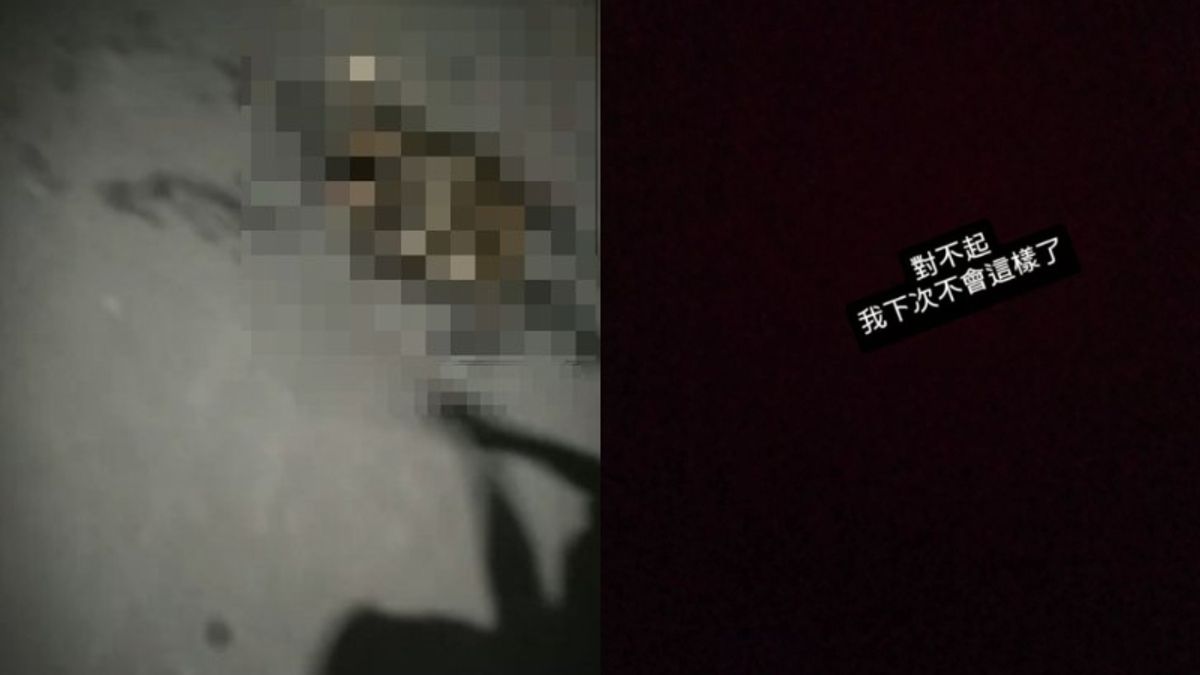 屏東縣發生虐貓事件!(圖/翻攝自Threads) 屏東縣發生虐貓事件!(圖/翻攝自Threads)