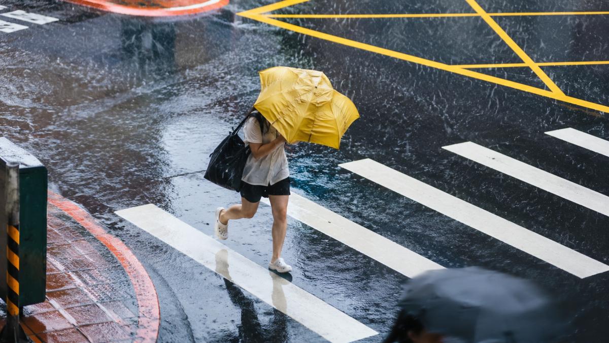 巴威颱風會放假嗎?北台灣5縣市侵襲機率達100%,停班停課標準、風雨時程、最新路徑一次看