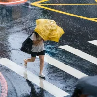 台風9号(バービー)が台湾に接近している。気象専門家の呉徳栄氏は9日、気象応用推進基金会のコラムで、金曜から土曜にかけて台風の影響が台湾で最も強まるとして注意を呼びかけた。(イメージ写真/AI生成) 台風9号(バービー)が台湾に接近している。気象専門家の呉徳栄氏は9日、気象応用推進基金会のコラムで、金曜から土曜にかけて台風の影響が台湾で最も強まるとして注意を呼びかけた。(イメージ写真/AI生成)