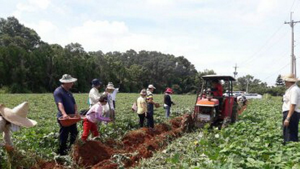 農試所推校園食農教育 體驗農業生產價值 農試所推校園食農教育 體驗農業生產價值