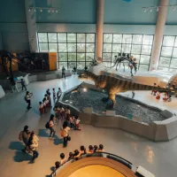 圖為科博館。(圖/國立自然科學博物館) 圖為科博館。(圖/國立自然科學博物館)