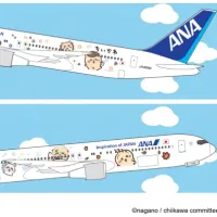 ANAは2026年10月下旬より「ちいかわ」とのタイアップを開始し、限定機内品を提供する特別デザイン機を国内線で就航させる。(写真/ANA提供) ANAは2026年10月下旬より「ちいかわ」とのタイアップを開始し、限定機内品を提供する特別デザイン機を国内線で就航させる。(写真/ANA提供)