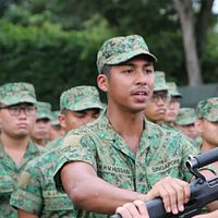 シンガポール武装部隊。(写真/シンガポール政府公式サイトより) シンガポール武装部隊。(写真/シンガポール政府公式サイトより)