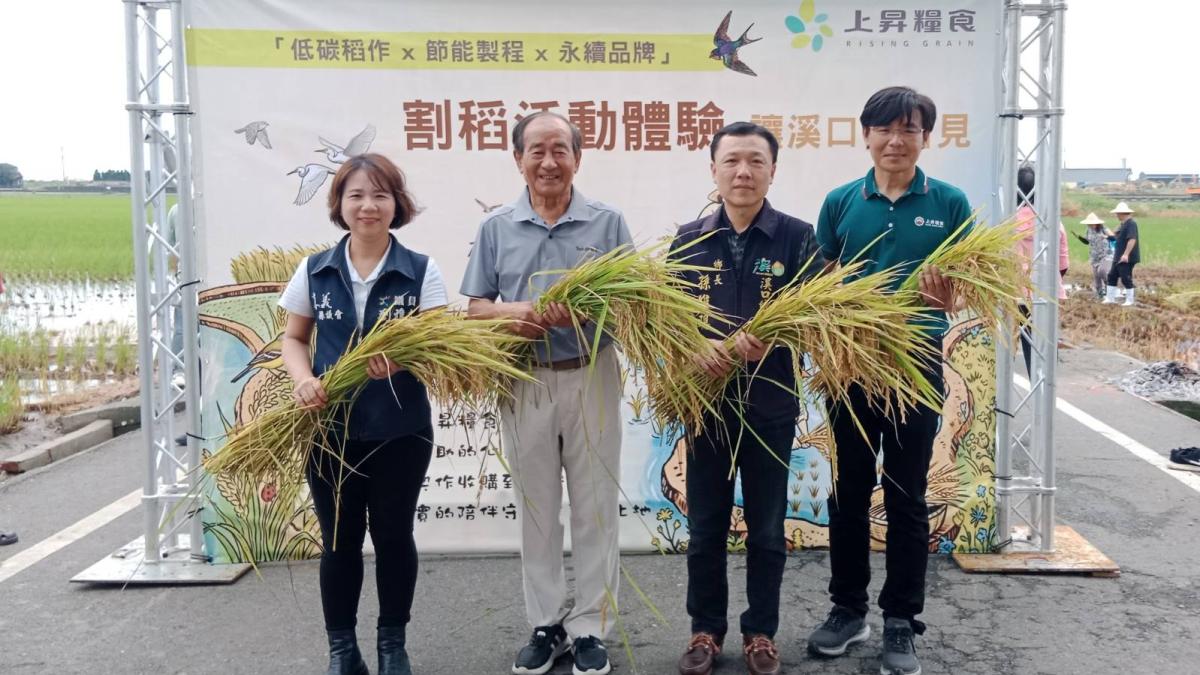 從一粒米看見土地的力量!上昇糧食攜手契作農民舉辦割稻飯體驗