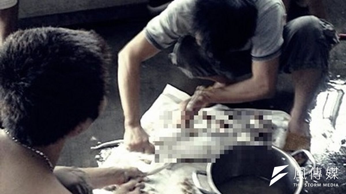 勞動部傳將廢止高雄市吃貓移工的聘僱許可,台灣國際勞工協會發言人陳秀蓮15日批評政府便宜行事,並諷刺「從沒看過政府這麼有效率」。(取自高雄市關懷流浪動物協會網站) 勞動部傳將廢止高雄市吃貓移工的聘僱許可,台灣國際勞工協會發言人陳秀蓮15日批評政府便宜行事,並諷刺「從沒看過政府這麼有效率」。(取自高雄市關懷流浪動物協會網站)