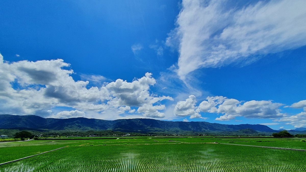 臺東縣政府進行「111年空氣污染防制工作滿意度及支持度調查」,高達95.9%民眾肯定。(圖/臺東縣政府提供) 臺東縣政府進行「111年空氣污染防制工作滿意度及支持度調查」,高達95.9%民眾肯定。(圖/臺東縣政府提供)