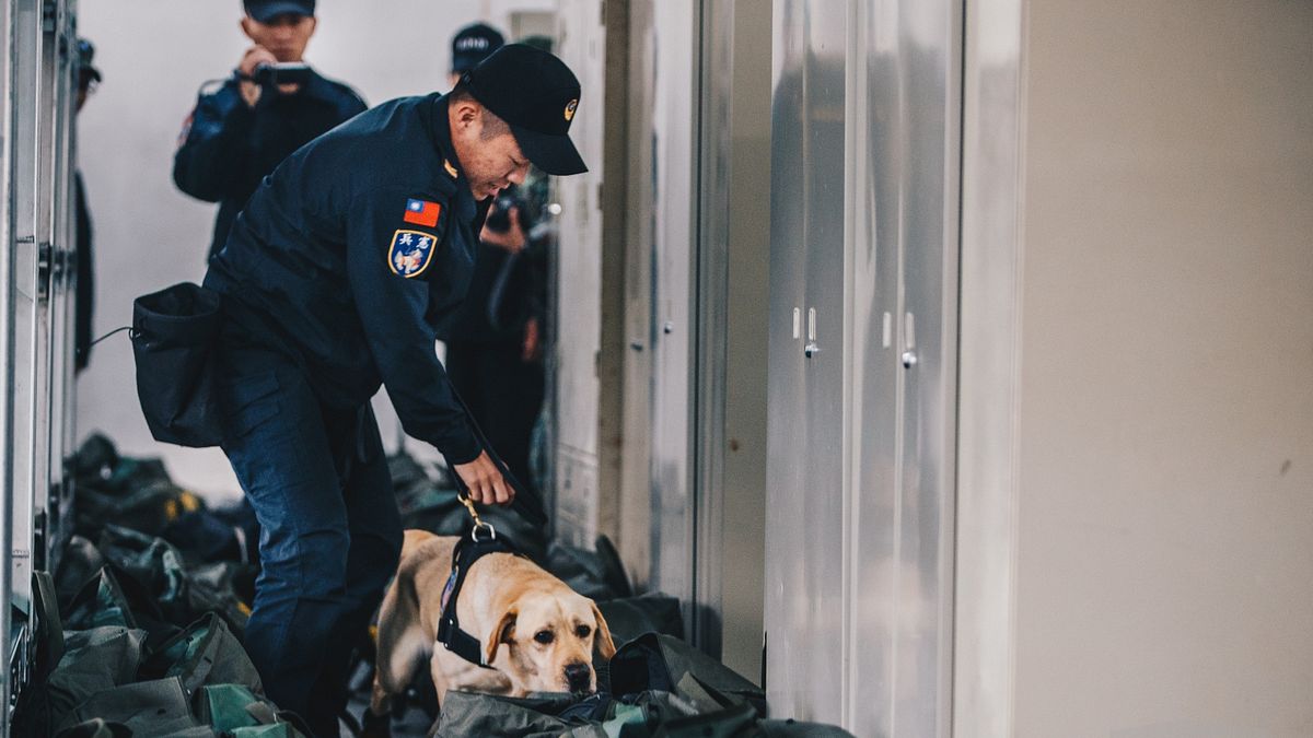 憲兵首個「緝毒犬分組」6日在台北松園營區成軍後,7日隨即投入第一次正式勤務。(取自軍聞社) 憲兵首個「緝毒犬分組」6日在台北松園營區成軍後,7日隨即投入第一次正式勤務。(取自軍聞社)