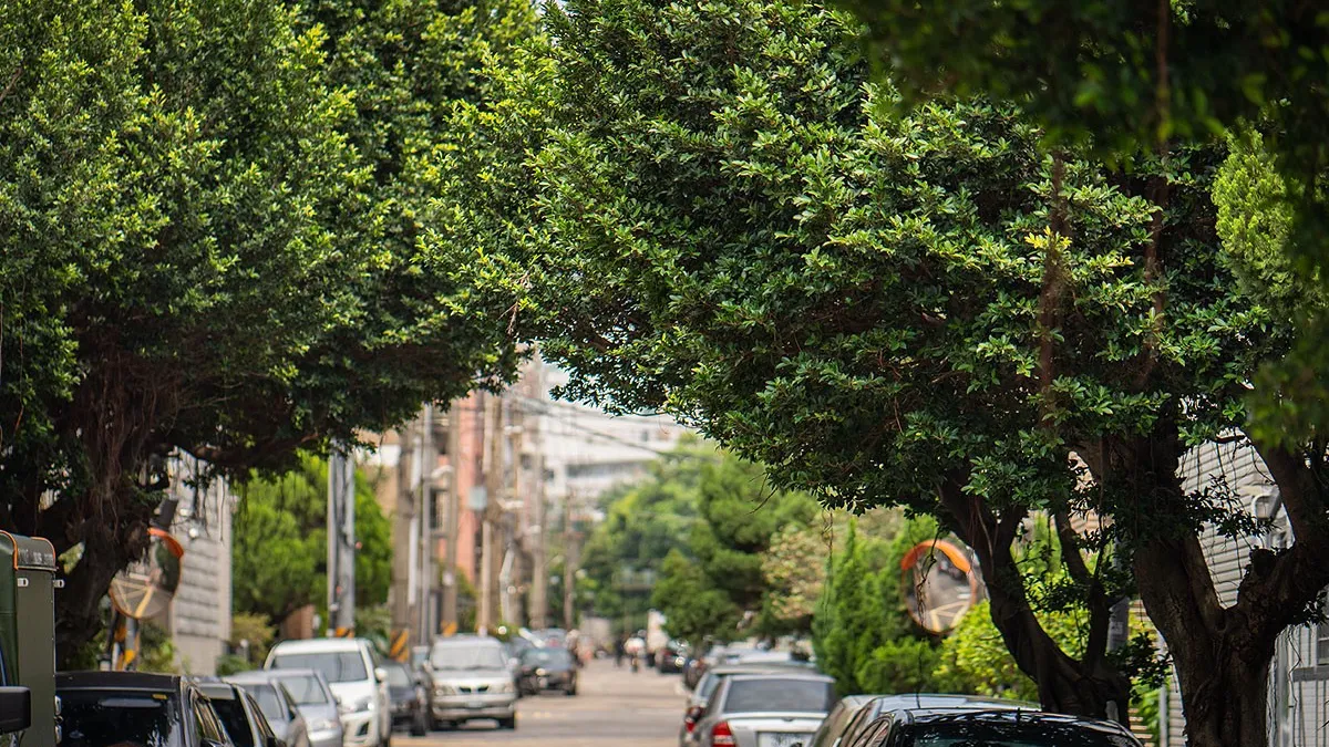 有小天母之稱的「榮華特區」是天母人心目中的夢幻桃花源。(圖/業者提供)