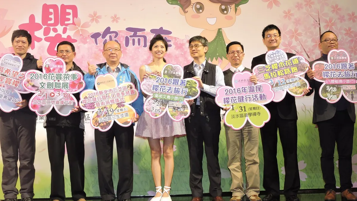 賞櫻正逢時 滬尾櫻花大道首先開跑
