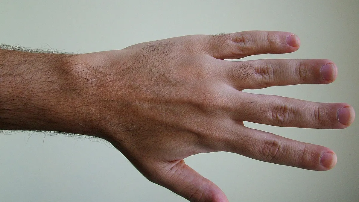 當你用力握拳或天氣炎熱時,是否注意到手背或身體其他部位浮現明顯的青筋?(示意圖/取自pixabay) 當你用力握拳或天氣炎熱時,是否注意到手背或身體其他部位浮現明顯的青筋?(示意圖/取自pixabay)