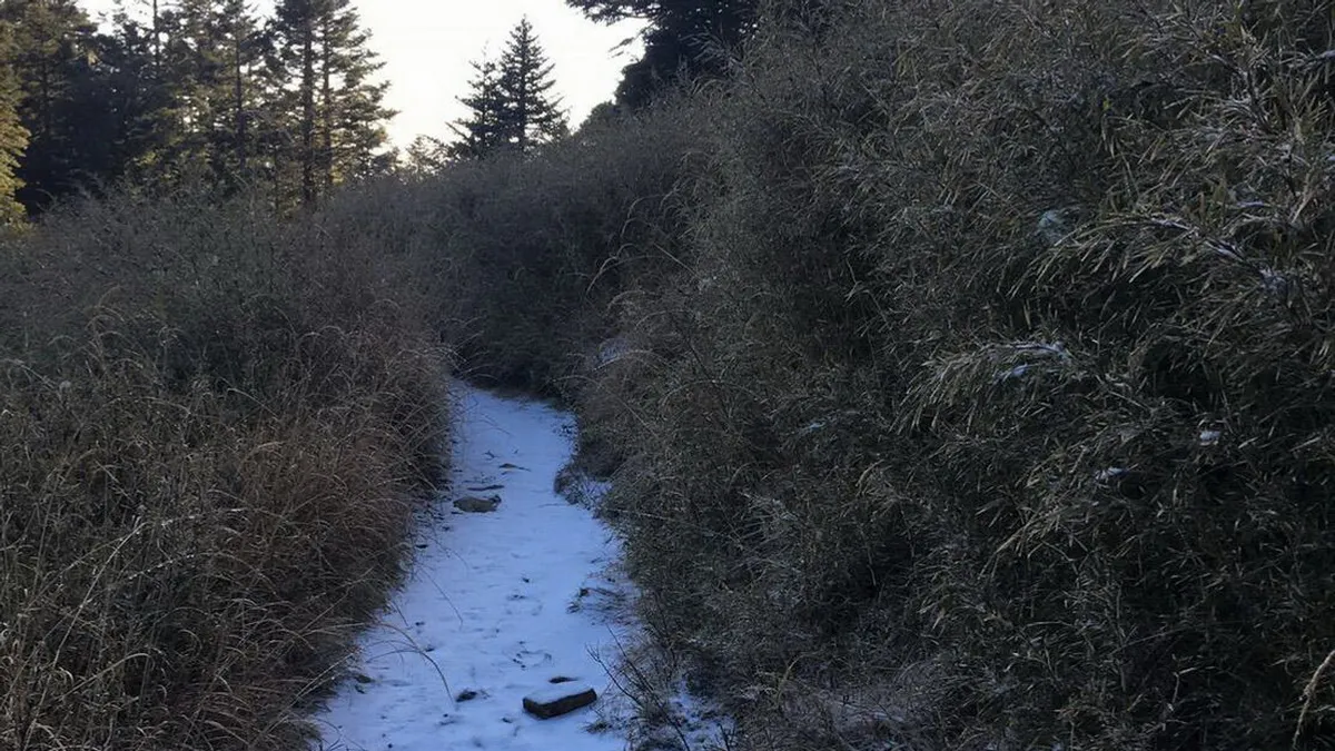 冷氣團來襲 雪山登山步道積薄雪