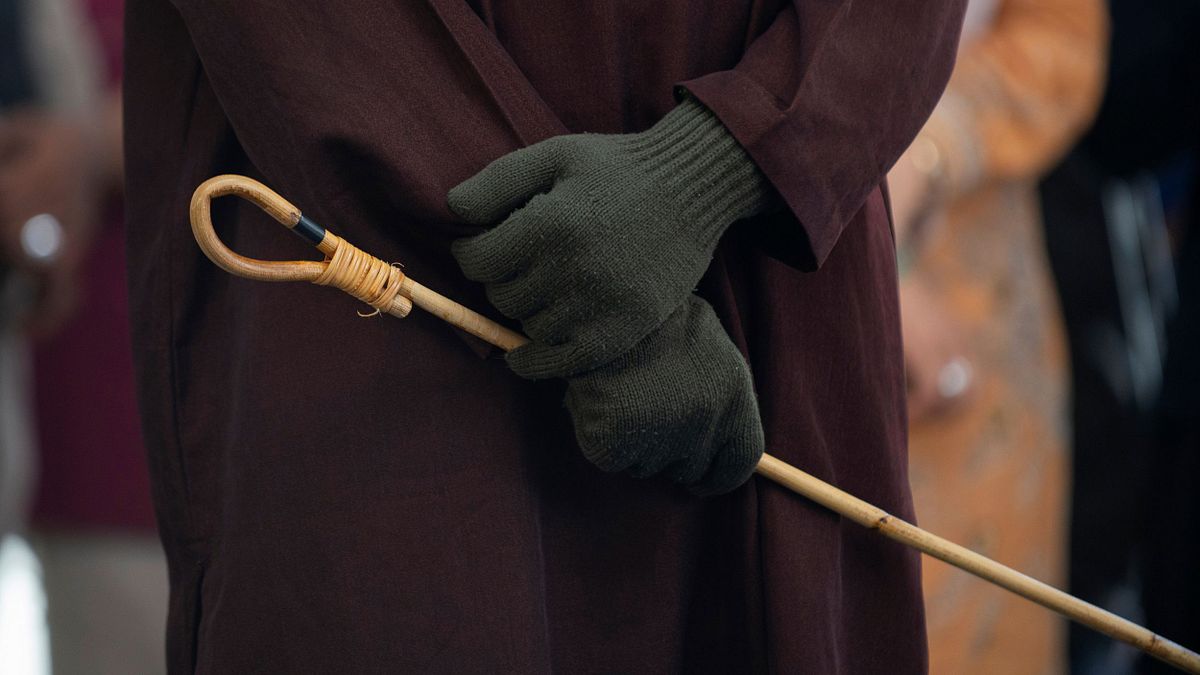 鞭刑不打3種人,詐騙犯沒在怕?她酸綠營急當「護臀使者」:陳定南考察過