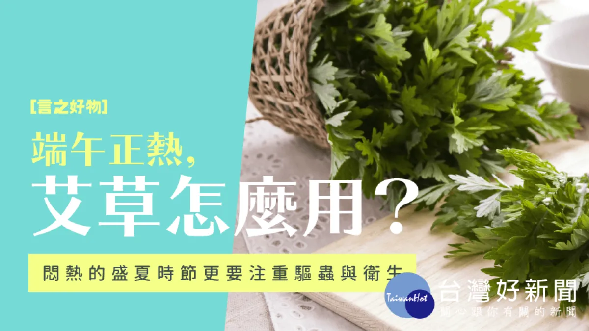 言之好物/端午正熱,艾草怎麼用?