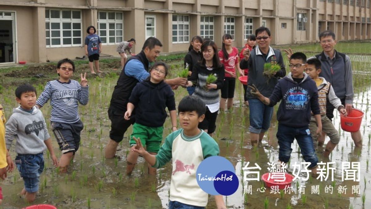 學童撿拾福壽螺 推農業友善防治 學童撿拾福壽螺 推農業友善防治